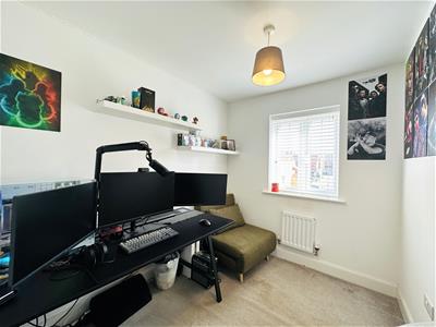 Picture 10